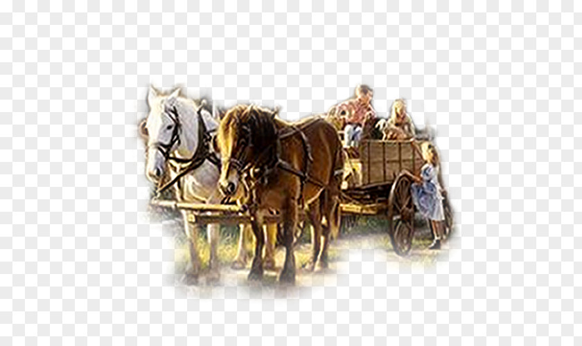Carriage Horse And Buggy Harnesses Chariot Cart PNG