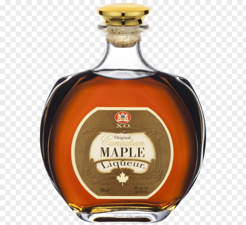 Cognac Maple Liqueur Whiskey Distilled Beverage Kahlúa PNG