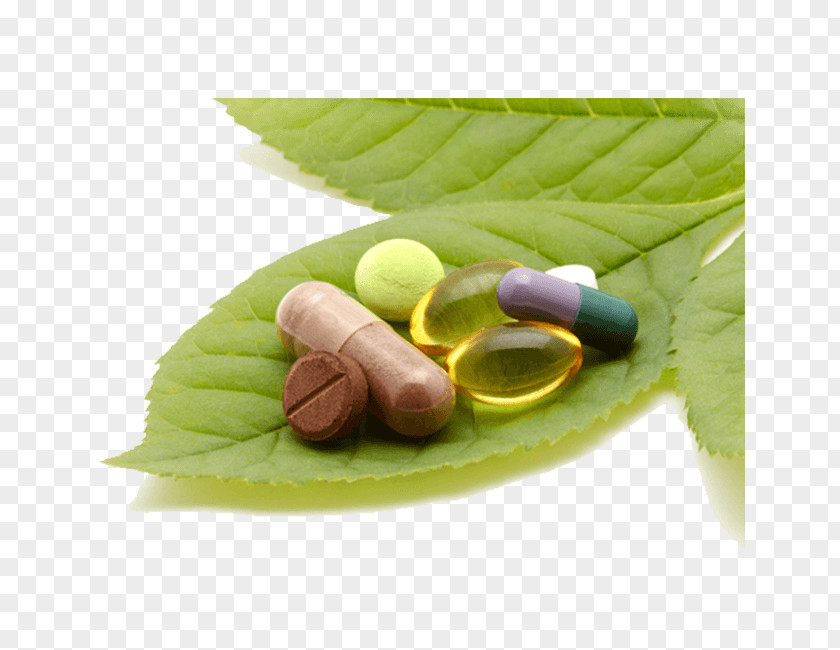 Health Orthomolecular Medicine Dietary Supplement Naturopathy Pharmacy PNG