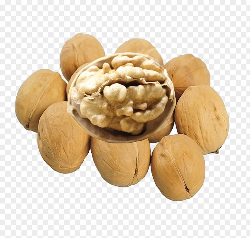 Walnut Pile Material Chocolate Bar Dried Fruit PNG