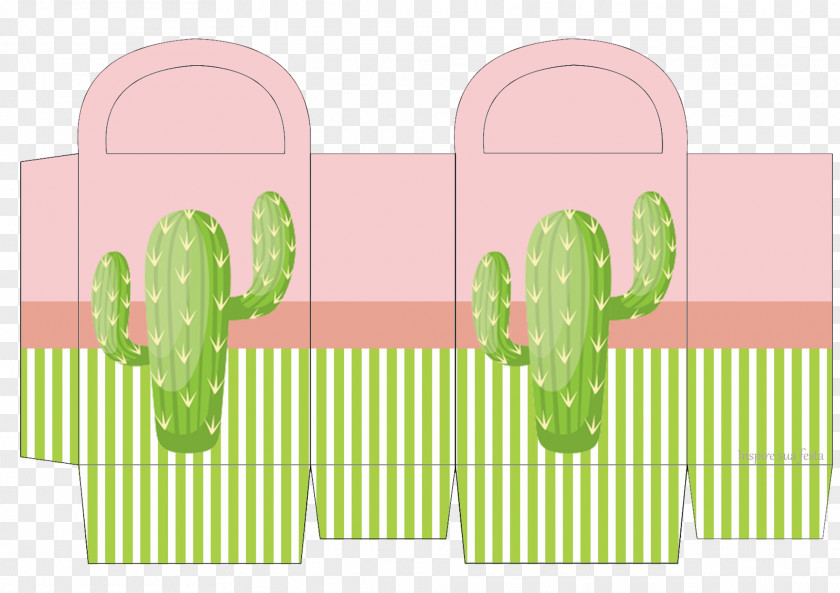 Cactos Cactaceae Art Nopal Printing PNG