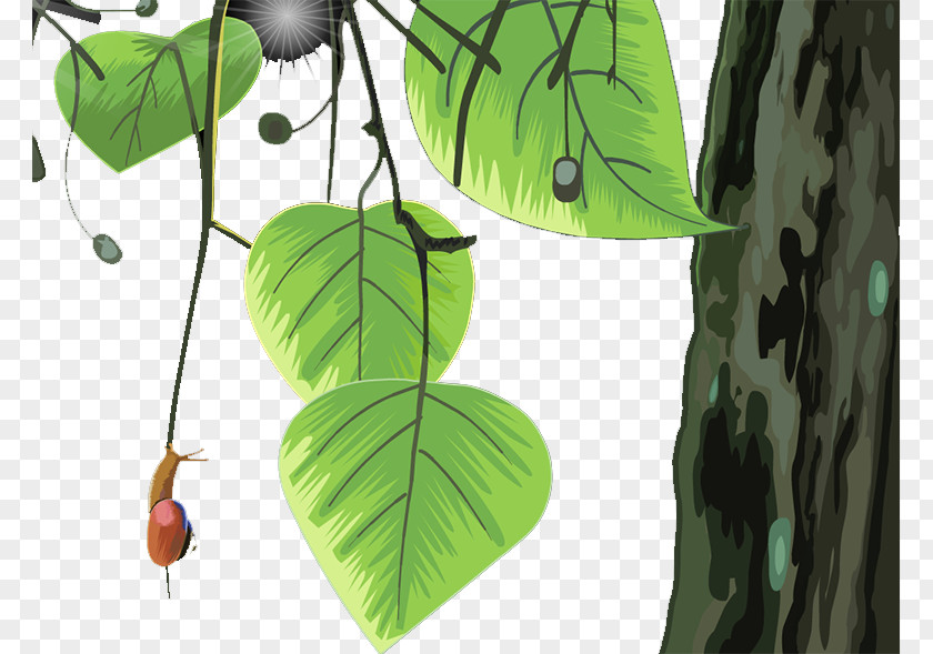 Tree Leaf Branch Landscape PNG