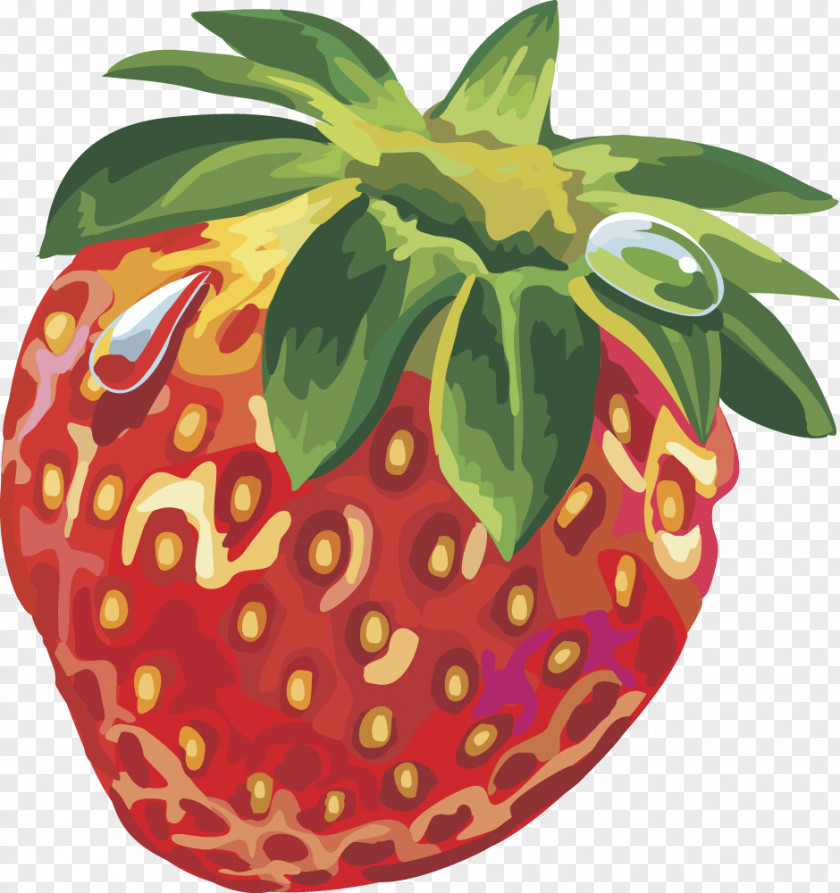 Vector Strawberry Fruit Musk PNG