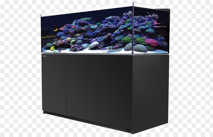 Aquariumlighting Of The Seawater Red Sea Reefer XL 525 Aquariums 350 Reef Aquarium 450 PNG