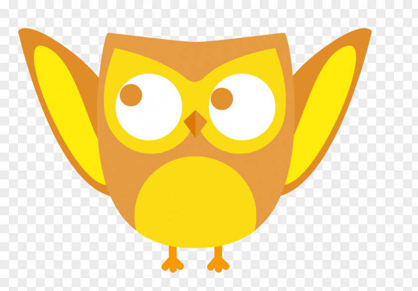 Cute Owl PNG