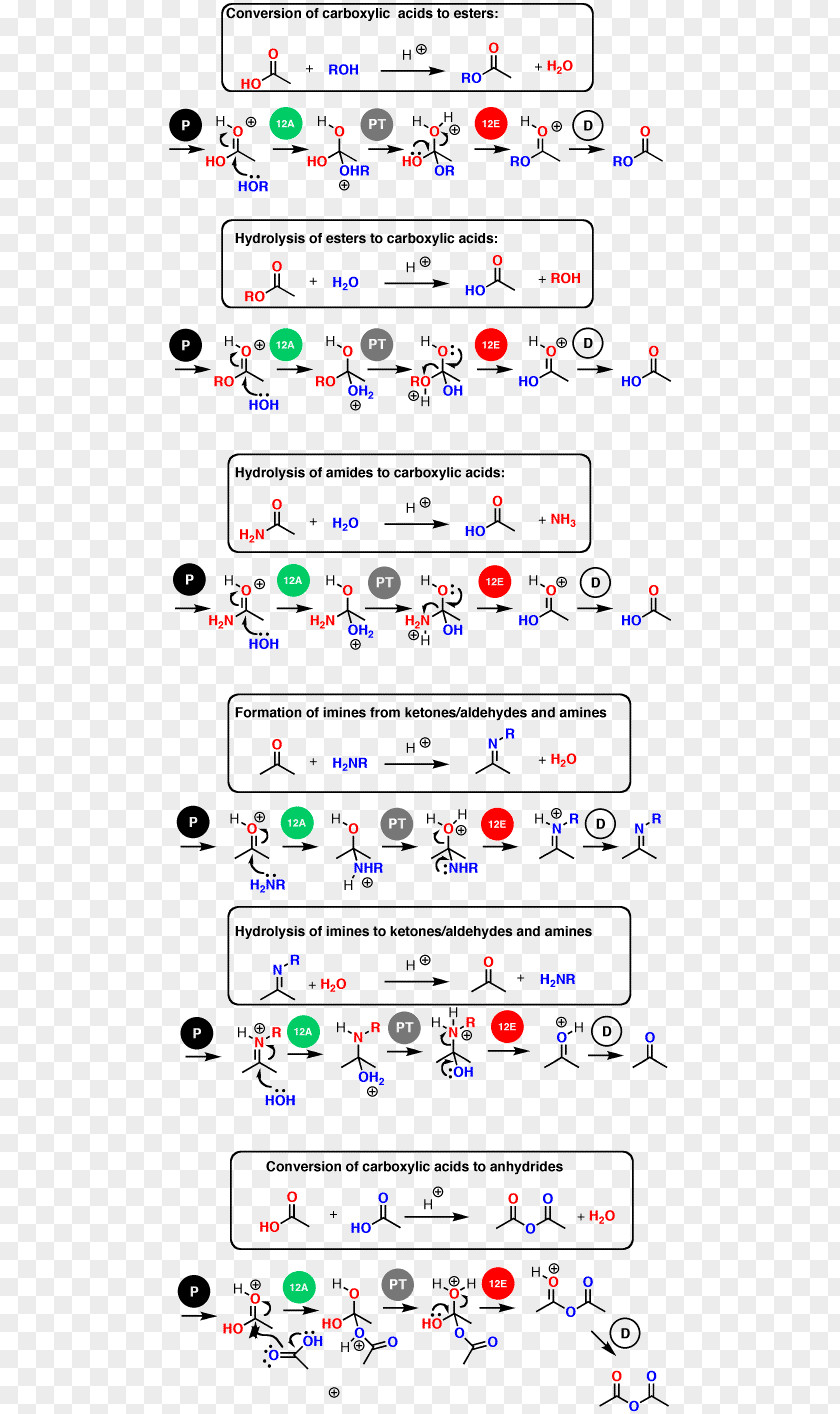 Fixed Price Organic Chemistry Chemical Reaction Carboxylic Acid PNG