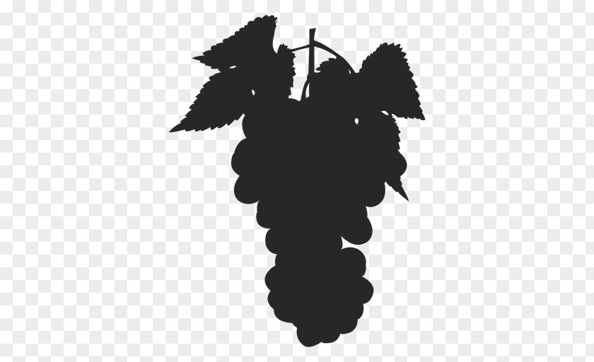 Food Silhouettes Madison County Winery Common Grape Vine Photography PNG