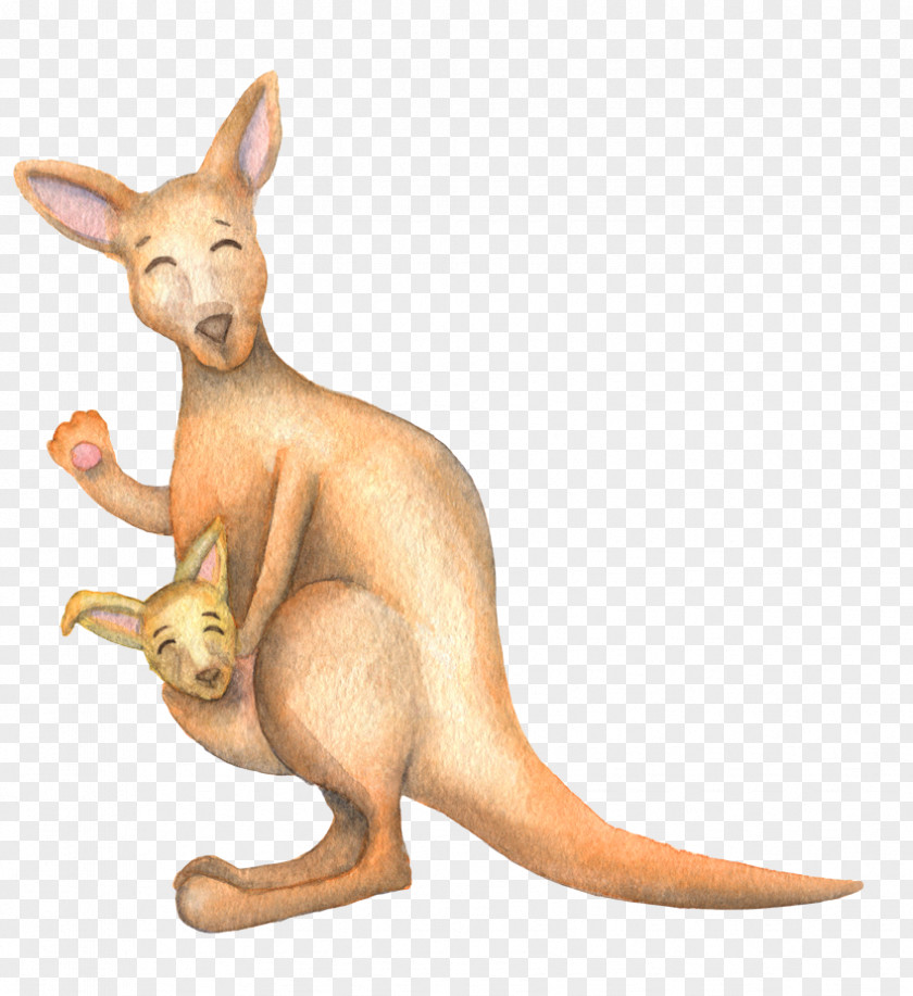 Fresh Sen Department Watercolor Cute Kangaroos Koala Kangaroo Cartoon PNG