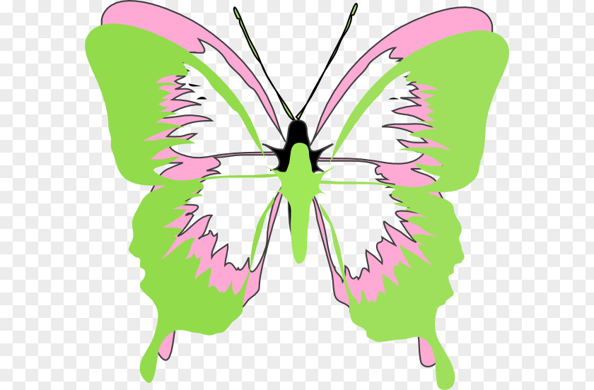 Green Butterfly Monarch Clip Art PNG