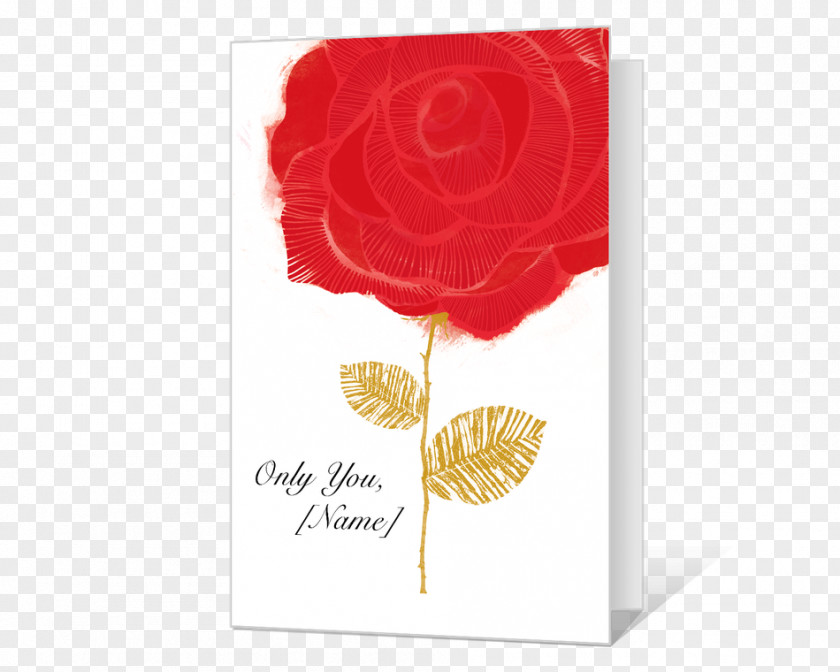 Barware Ornament Garden Roses Greeting & Note Cards Design PNG
