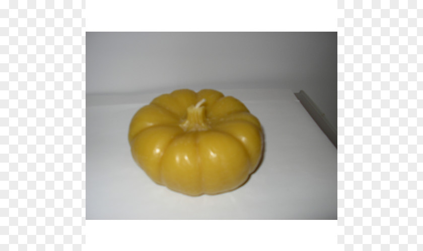 Beewax Winter Squash Cucurbita PNG