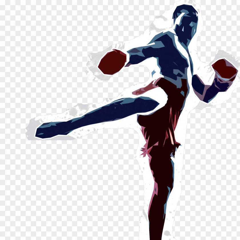 Boxing Muay Thai Kickboxing Glove Boran PNG