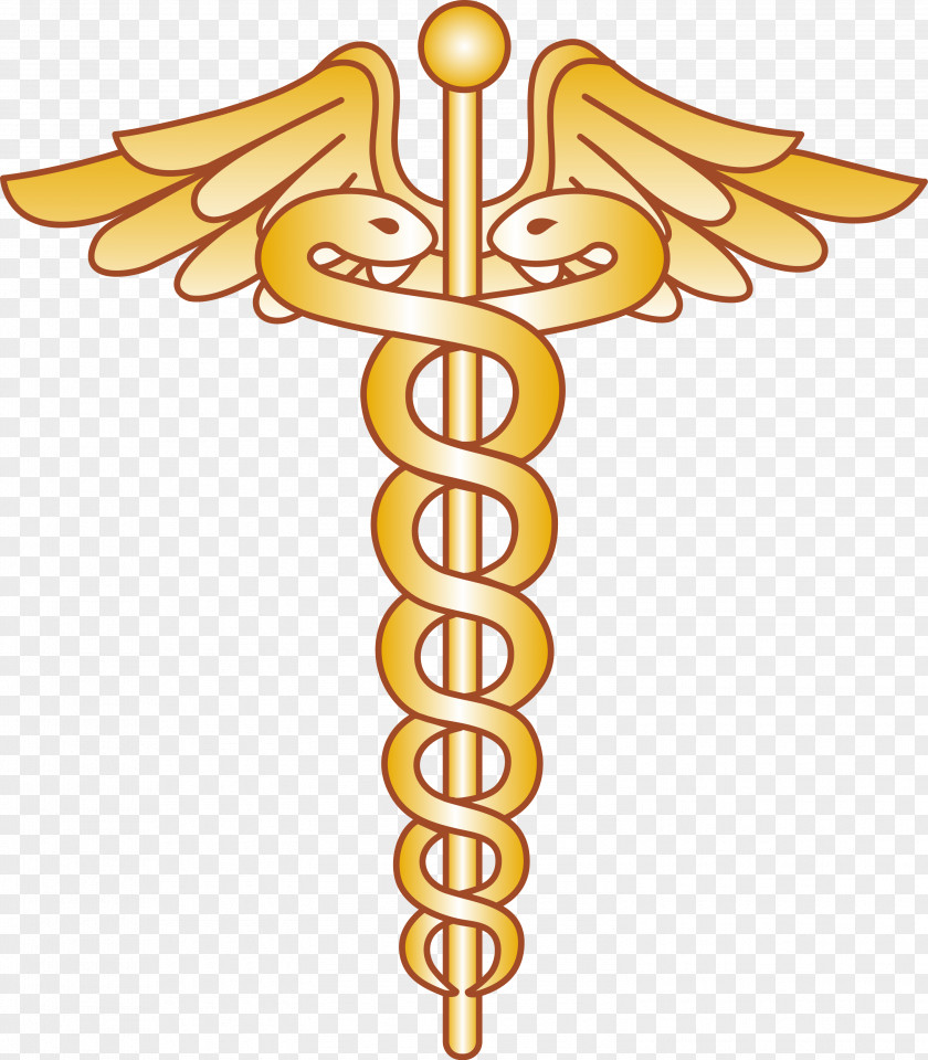 Doctor Symbol Cliparts Physician Staff Of Hermes Medicine Clip Art PNG
