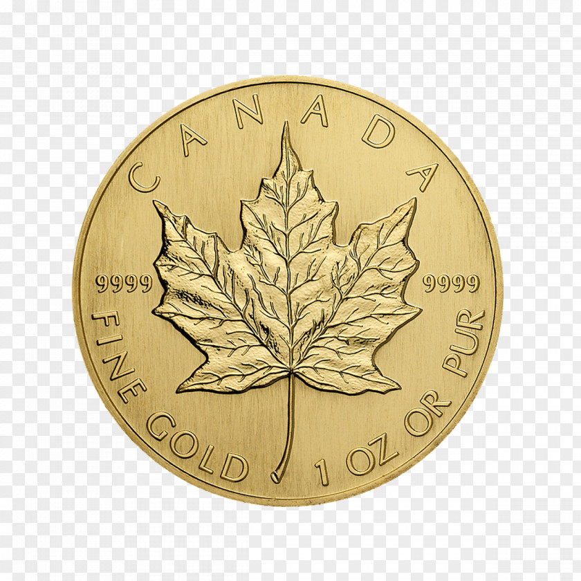 Gold Leaf Canada Coin Canadian Maple PNG