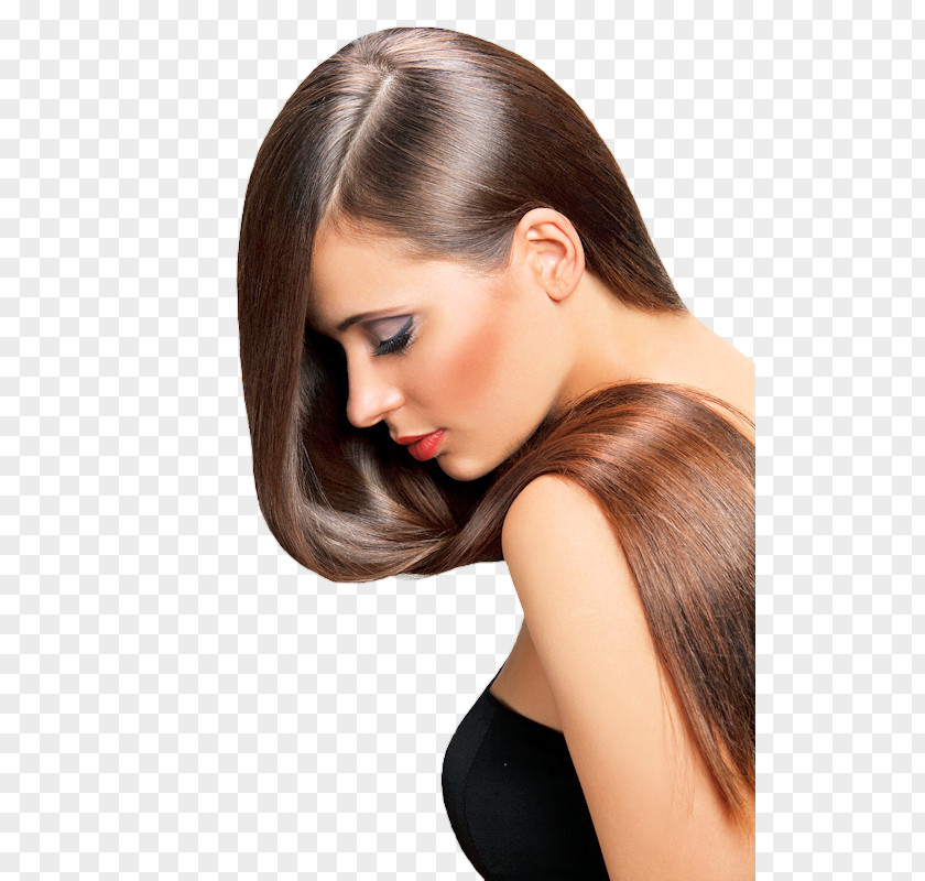 Hair Artificial Integrations Straightening Care Ponytail PNG