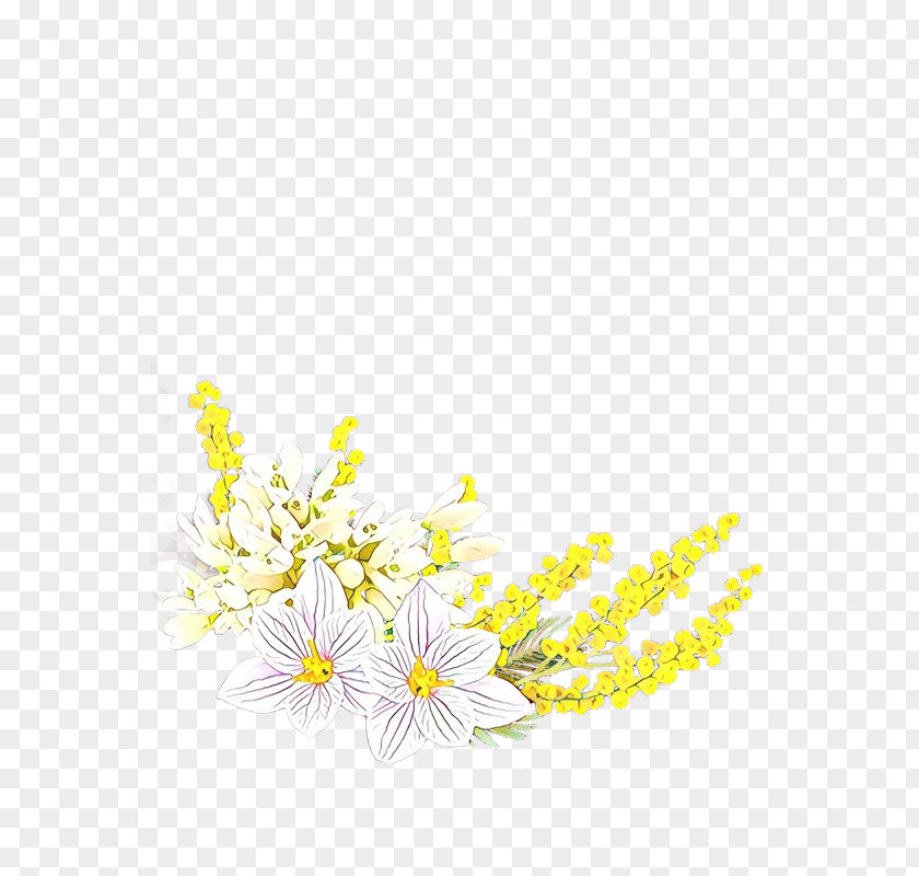 Perennial Plant Wildflower Flowers Background PNG