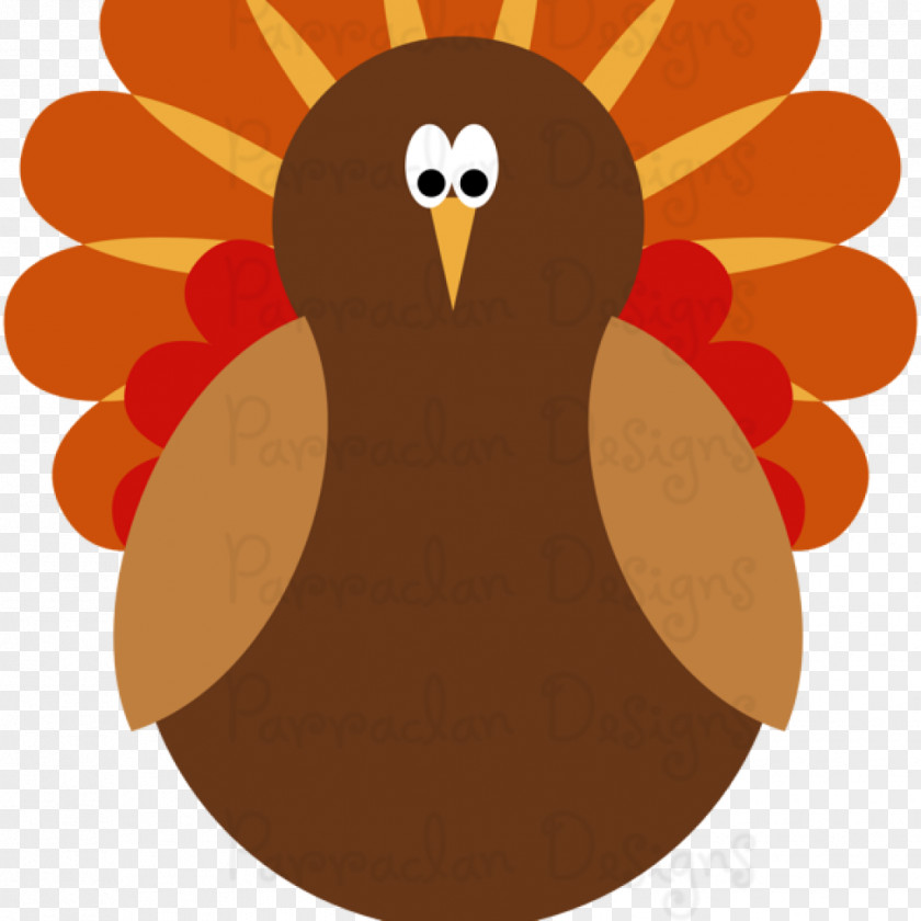 Turkeybirthday Turkey Meat Thanksgiving Clip Art PNG