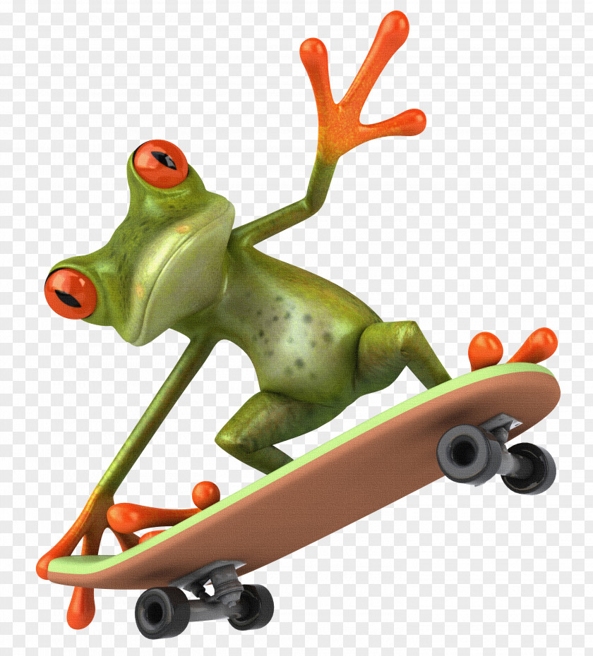 Amphibian Frog Skateboarding Clip Art PNG