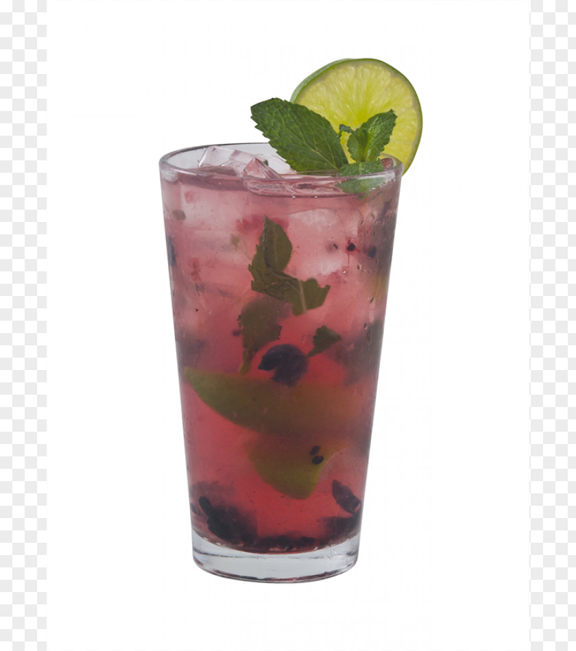 Cocktail Bay Breeze Wine Sea Mojito PNG