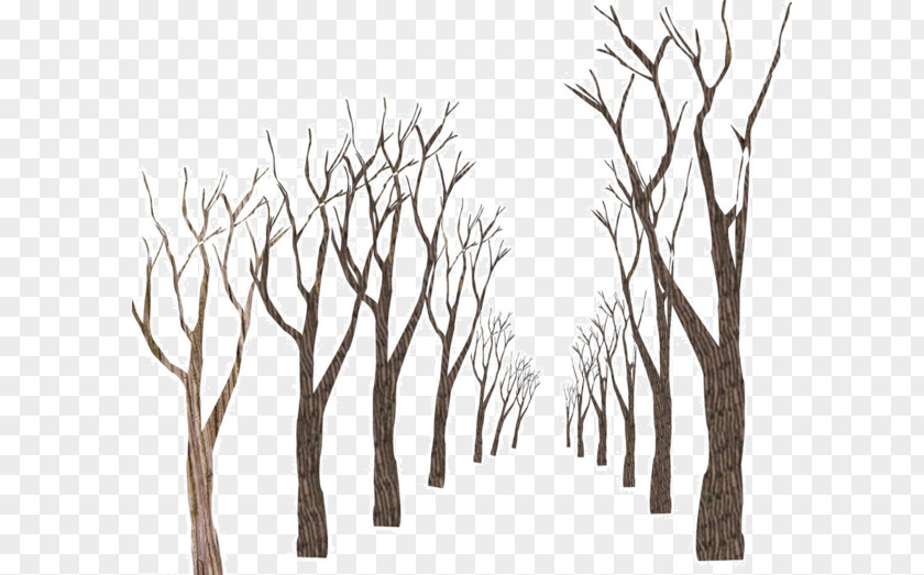 Hand-painted Trees PNG trees clipart PNG