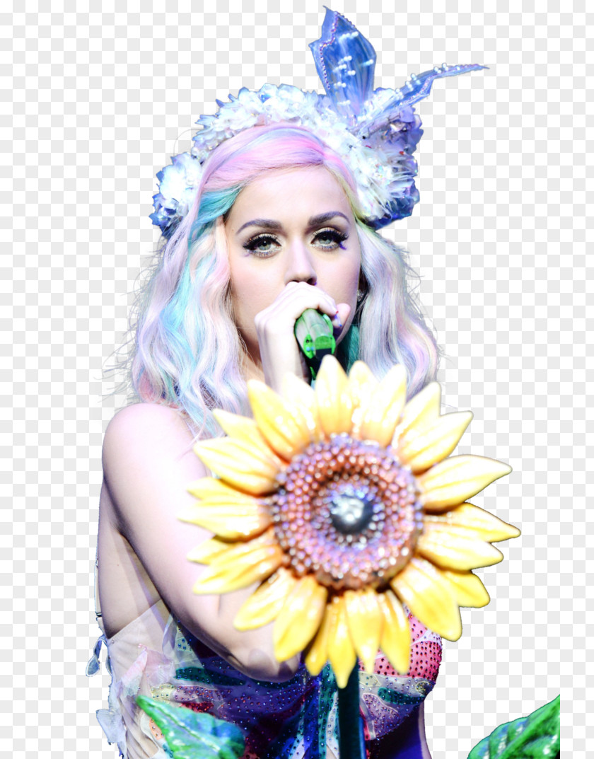Katy Perry Perry: The Prismatic World Tour Madison Square Garden Witness: PNG