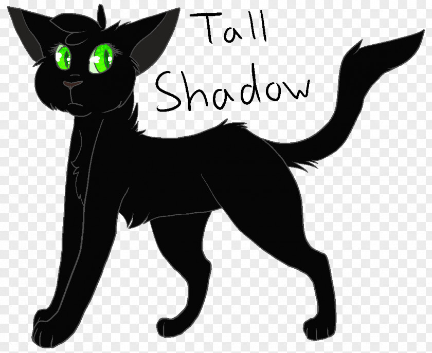Shadow Warrior Warriors Shadowstar Kitten Korat Cloudtail PNG