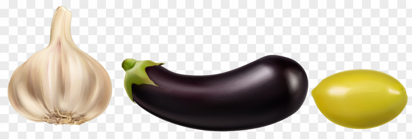 Vector Garlic Vegetable Eggplant Potato PNG