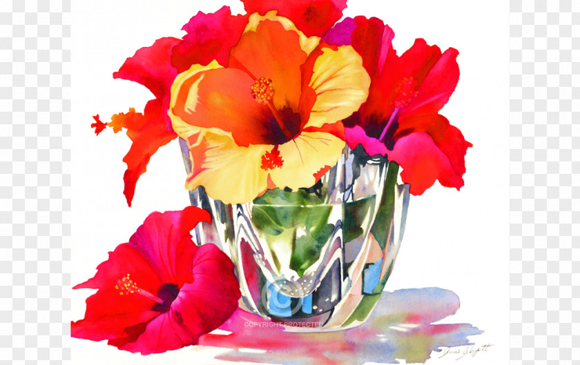 Watercolor WaterColor, Florida Cut Flowers Mallows Floral Design PNG