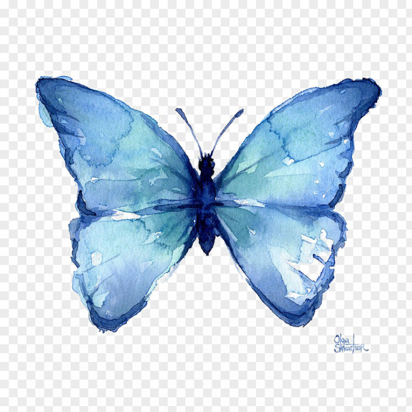 Butterfly Watercolor Painting Abstract Art PNG