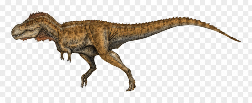Dinosaur Ceratosaurus Tyrannosaurus Carnotaurus Deinonychus Giganotosaurus PNG