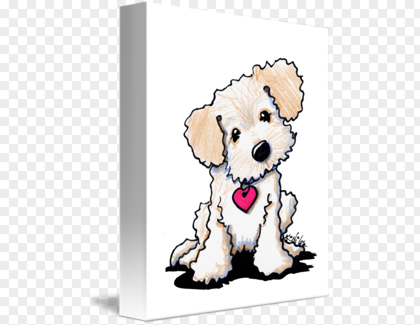 Doodle Dog Goldendoodle Labradoodle Maltese Golden Retriever Puppy PNG