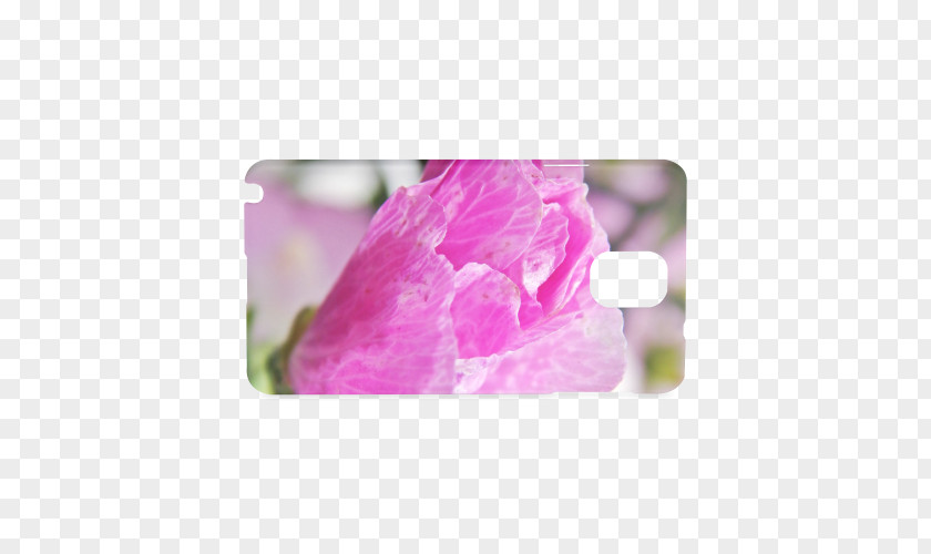 Musk Flower Pink M PNG
