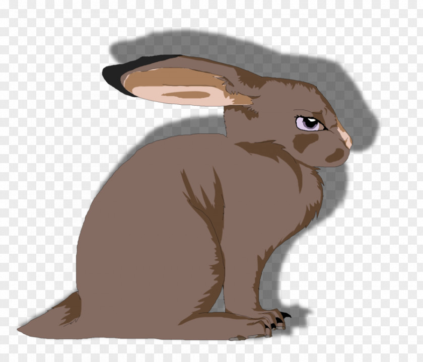 Rabbit Domestic Hare Wildlife Cartoon PNG