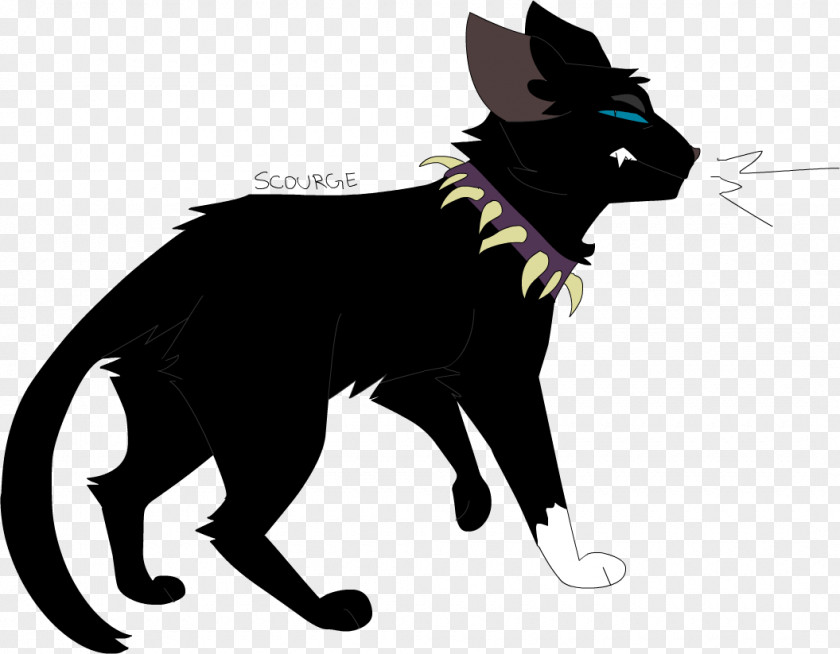 Cat Black Whiskers Domestic Short-haired The Rise Of Scourge PNG