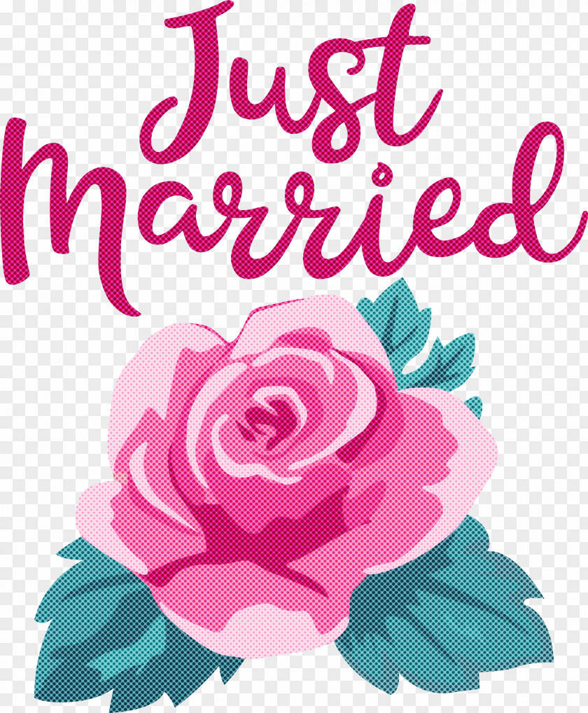 Just Married Wedding PNG