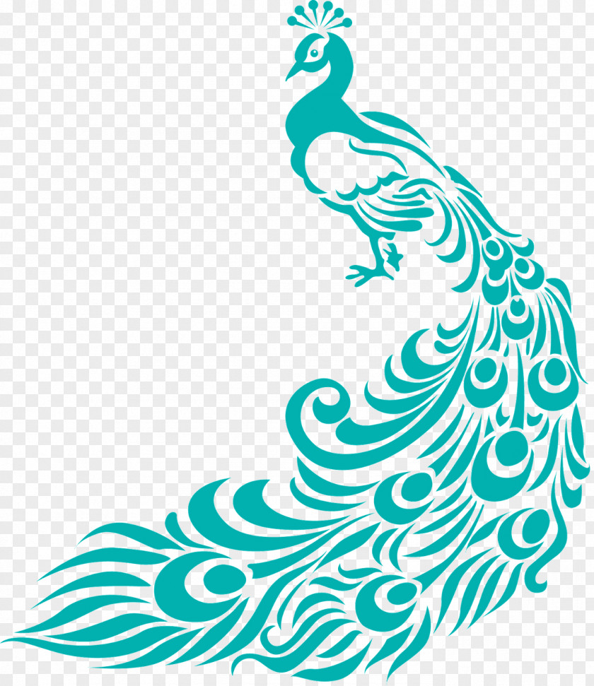 Simple Colorful Peacock Drawing Peafowl Free Content Clip Art PNG