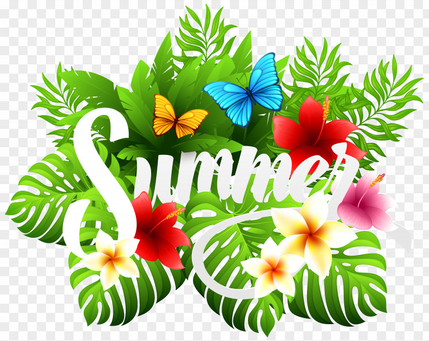 Summer Decorative Image Clipart Clip Art PNG