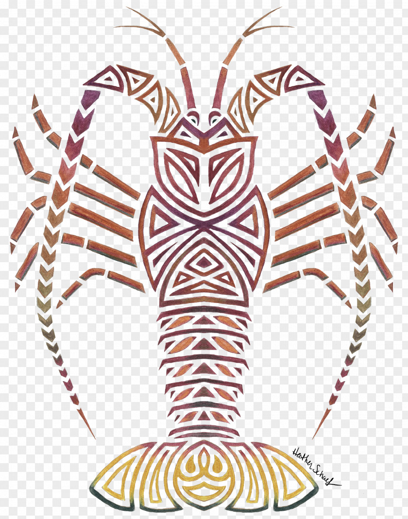 Lobster California Spiny T-shirt Palinurus Drawing PNG