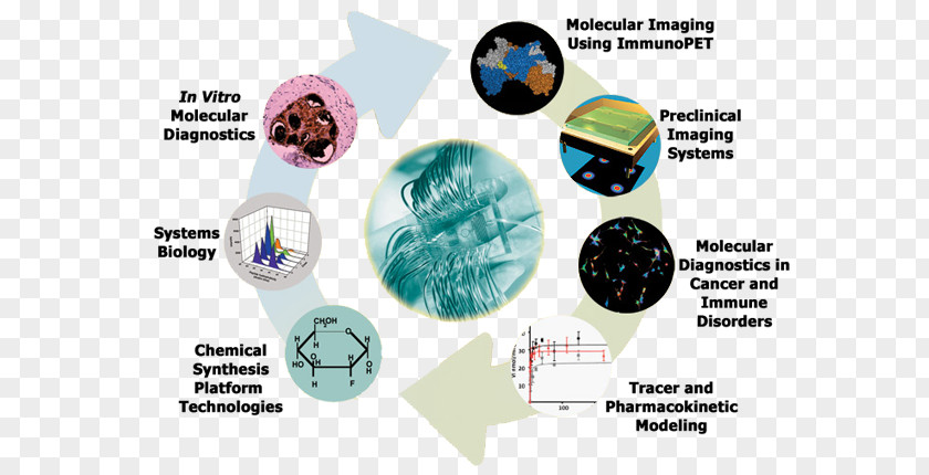 Molecular Imaging Biology Medical Diagnosis Laboratory PNG