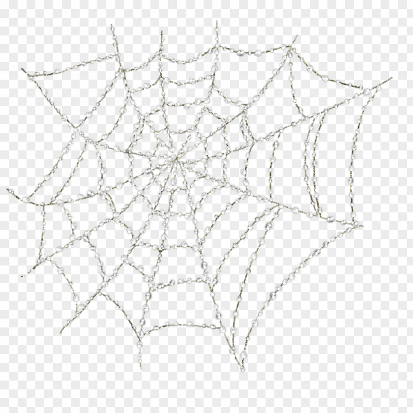 Spider Web Tarantula PNG