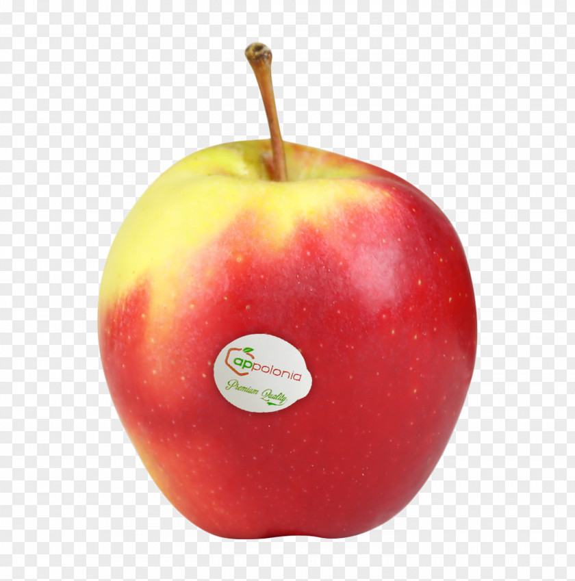 Apple Stemilt Growers Food Gala Accessory Fruit Auglis PNG
