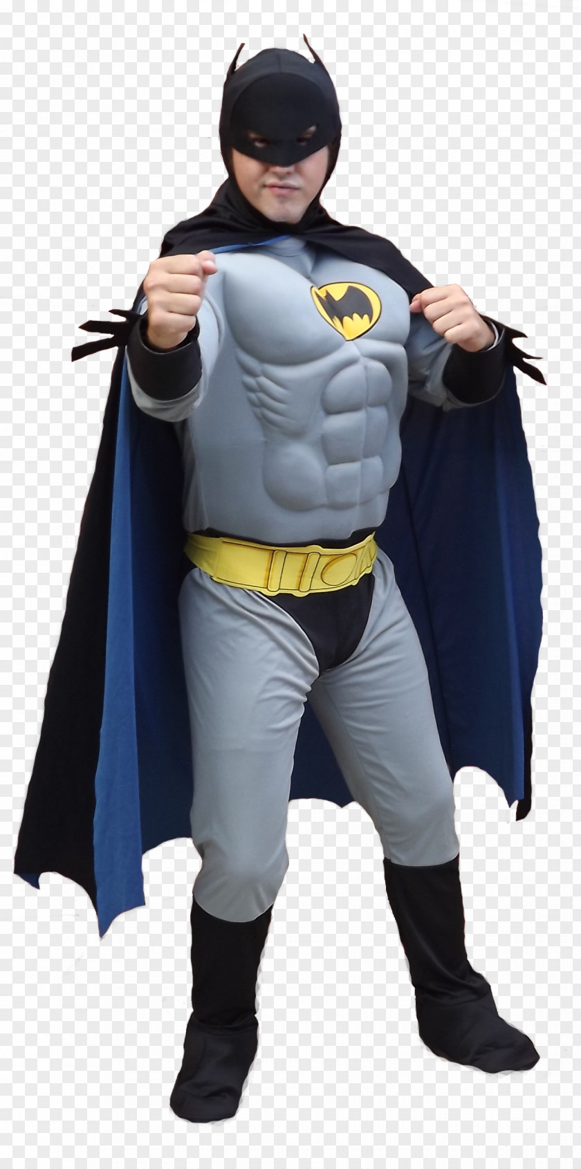 Batman Costume Bob Kane Catwoman Riddler PNG