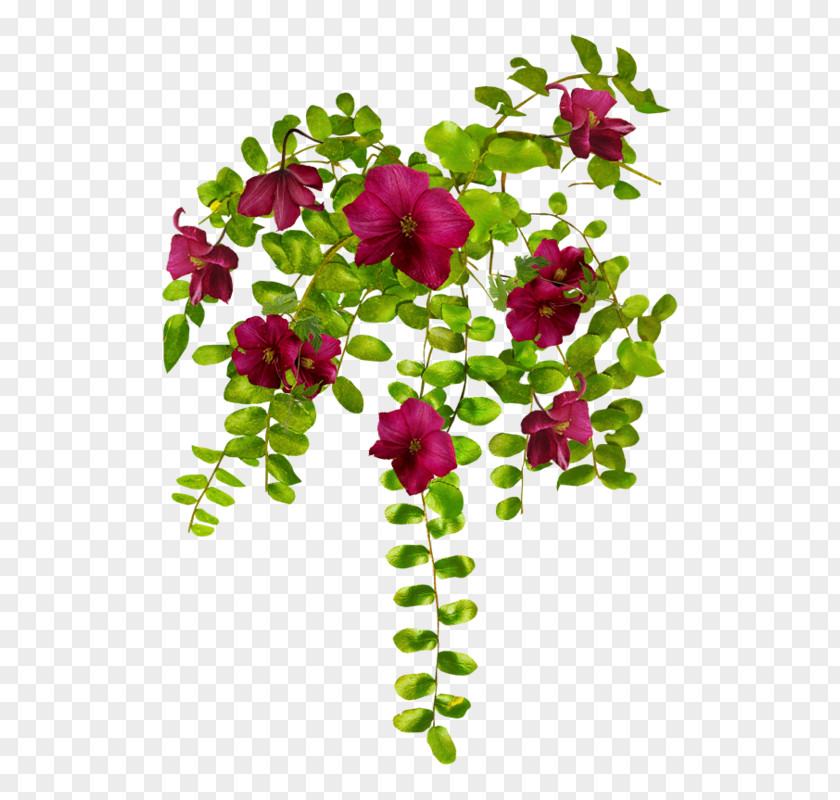 بسم الله الرحمن الرحيم Floral Design Flower Plant Rose PNG