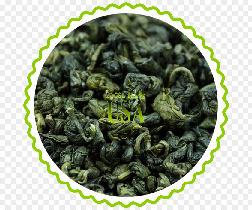 Green Tea Biluochun Jin Jun Mei Nilgiri Tieguanyin PNG