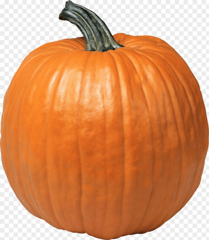 Single Pumpkin PNG Pumpkin, pumpkin clipart PNG