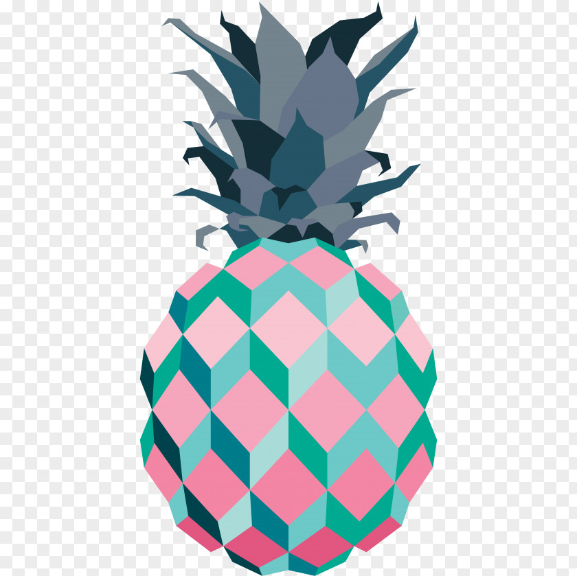 Symmetry Poales Pineapple Cartoon PNG