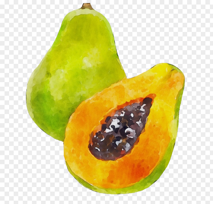 Tree Plant Papaya Pear Fruit Natural Foods Accessory PNG