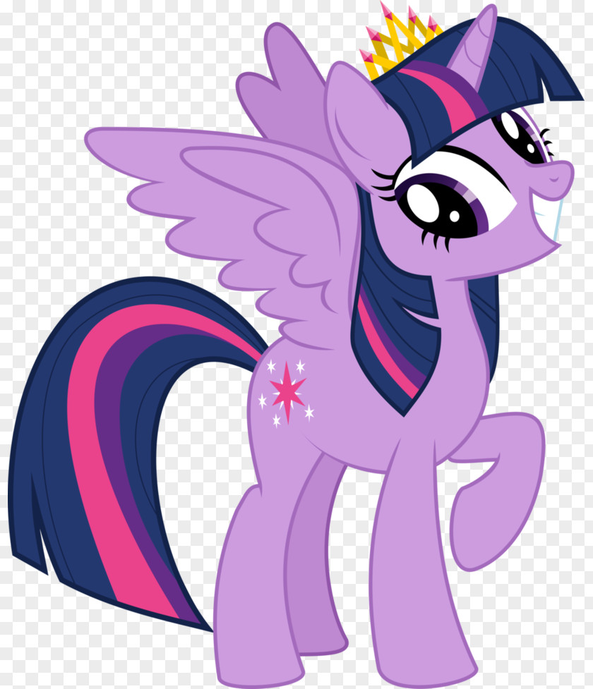 Twilight Sparkle Pony Rarity Rainbow Dash Princess Cadance PNG