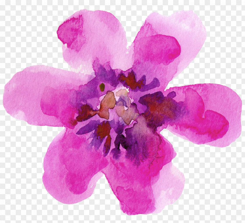 Watercolor Flower Purple Watercolour Flowers Paper Painting PNG