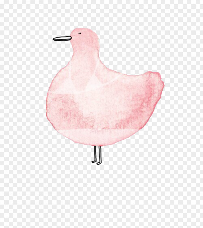 Duck Water Bird Icon PNG